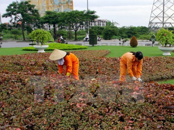 Hà Nội giảm 40% đơn giá cắt cỏ tại vườn hoa, dải phân cách ảnh 1