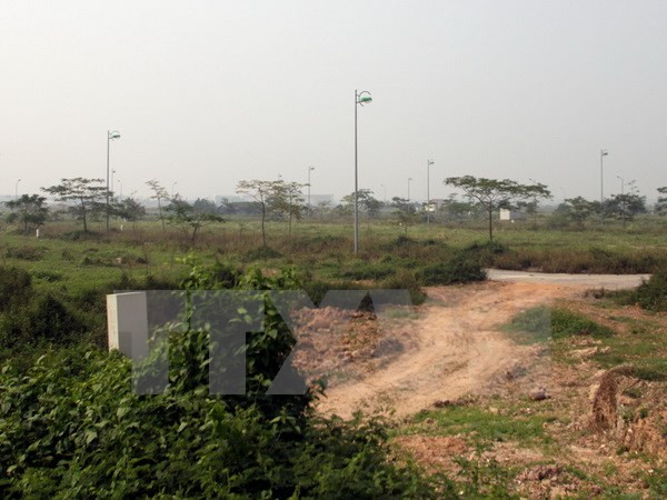 Buộc thôi việc Phó giám đốc Trung tâm Phát triển Quỹ đất Tây Ninh ảnh 1