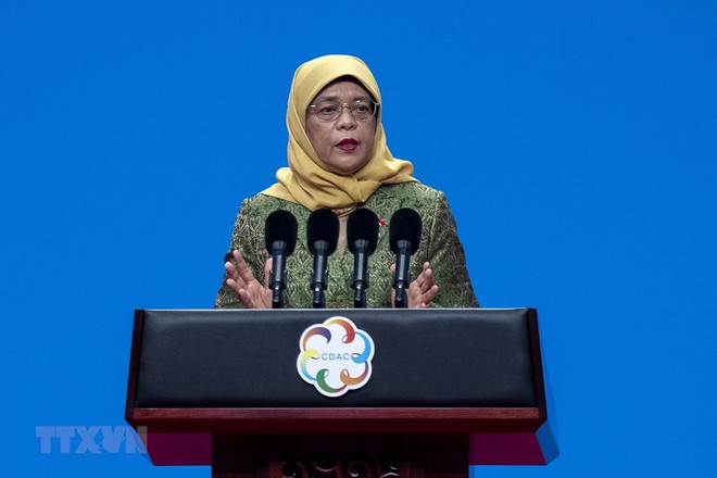 Thắt chặt quan hệ chính trị, thúc đẩy thương mại Việt Nam-Singapore ảnh 1