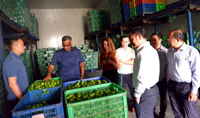 ttxvn_nong san long an 2.jpg