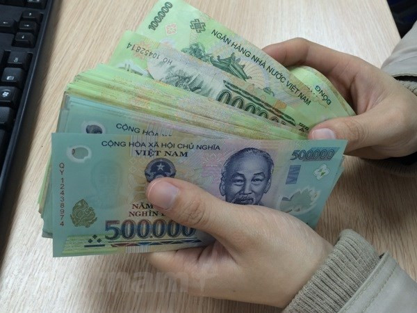 Ảnh minh họa. (Nguồn: Vietnam+) Xem xét kiến nghị về tiếp cận gói vay trả lương lãi suất 0% ảnh 1