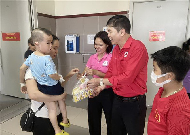 Nâng cao vai trò của Hội Chữ thập Đỏ Việt Nam trong tình hình mới ảnh 1