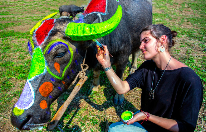 Trao giải và triển lãm Ảnh nghệ thuật Du lịch toàn quốc lần thứ 7 ảnh 11