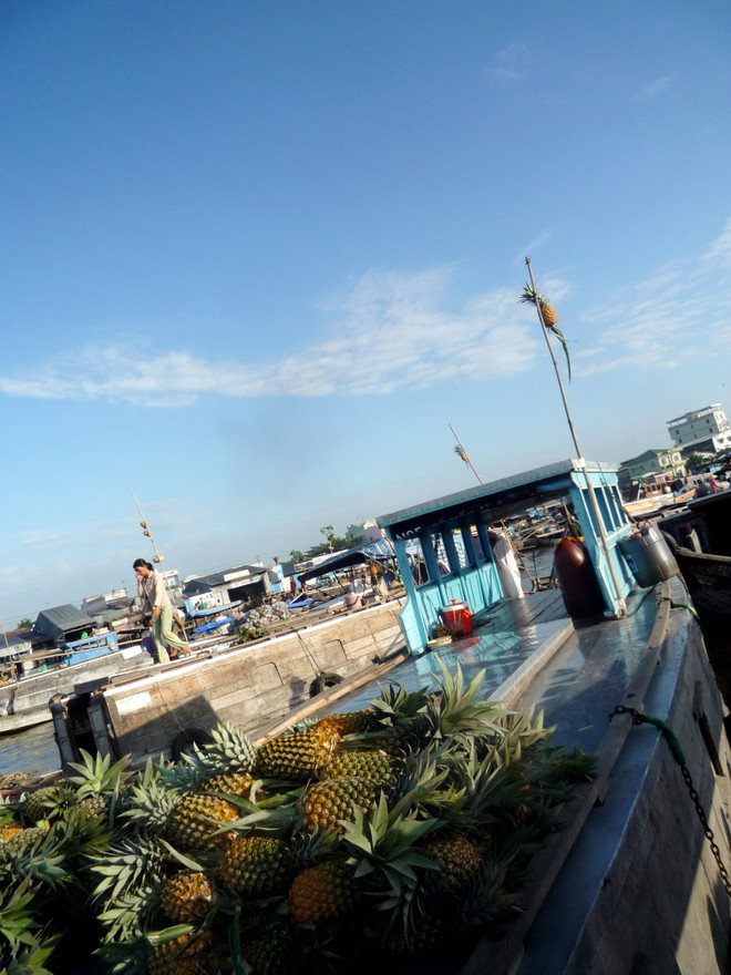 Cần Thơ tổ chức lễ hội du lịch tôn vinh Chợ nổi Cái Răng ảnh 4