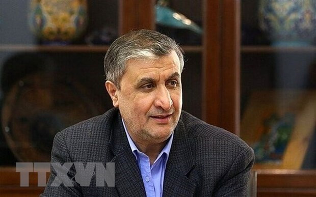 Iran khẳng định đạt tiến bộ lớn trong năng lực làm giàu urani ảnh 1