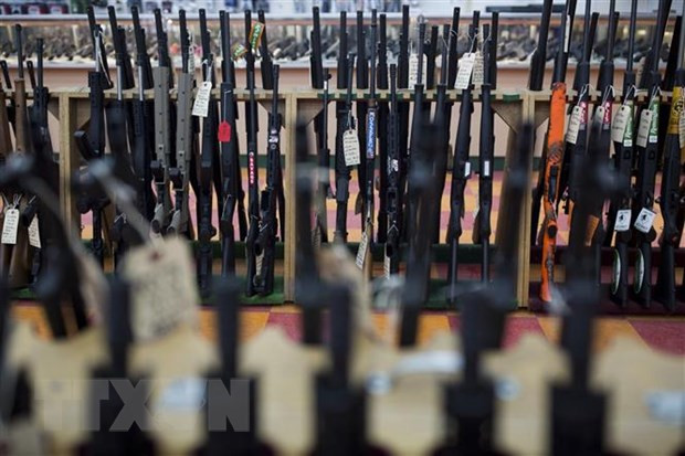 Đức có kế hoạch thắt chặt các luật kiểm soát súng đạn ảnh 1