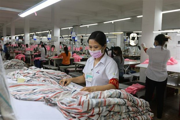 Chuyên gia: VN duy trì xu hướng phục hồi kinh tế tổng thể trong 2022 ảnh 1