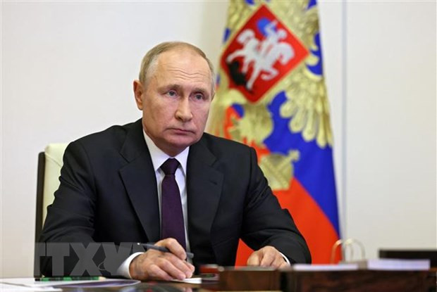 Tổng thống Nga thúc đẩy mở rộng tương tác giữa các quốc gia SNG ảnh 1