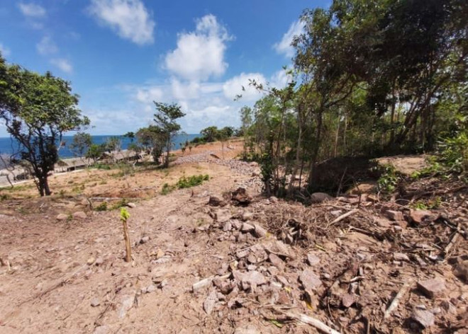 Kiên Giang từng bước đẩy lùi tình trạng phá rừng, bao chiếm đất rừng ảnh 1