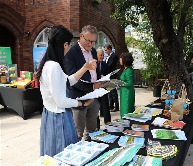 Giới thiệu sản phẩm nông nghiệp của tỉnh Lâm Đồng tại Australia ảnh 2