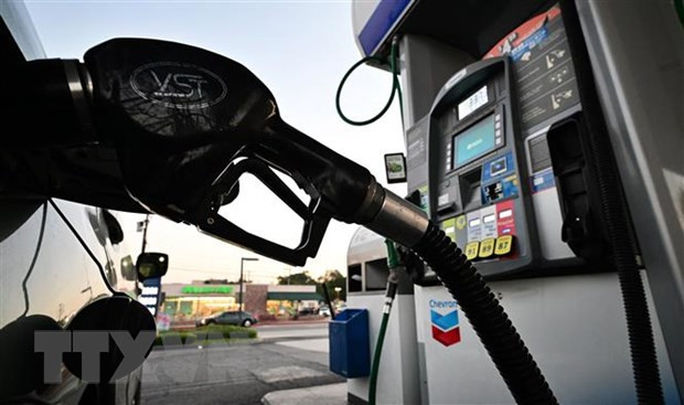 OPEC+ cân nhắc cắt giảm sản lượng nhiều hơn tại cuộc họp tháng 12 ảnh 1