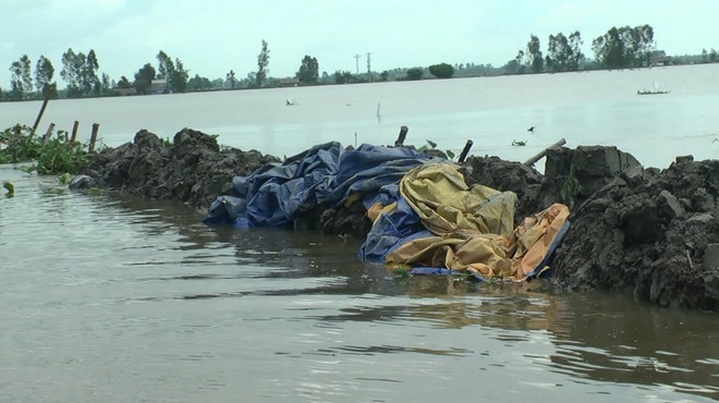 Ứng phó với lũ sớm khi đồng bằng sông Cửu Long vào mùa nước nổi ảnh 2