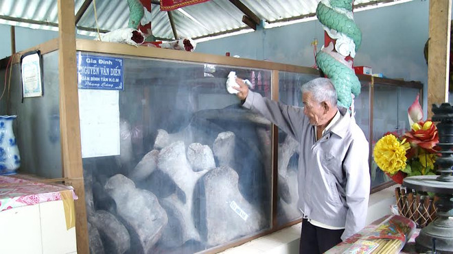 Lạ lùng câu chuyện Cá Ông cứu người ở xứ dừa Bến Tre ảnh 2