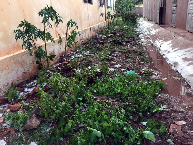 Điện Biên: Giông lốc bất ngờ kèm theo mưa đá, 4 nhà dân bị hư hại ảnh 1