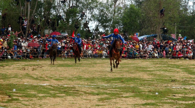 48 kỵ sỹ tham gia giải đua ngựa mở rộng lần đầu tổ chức ở Gia Lai ảnh 1