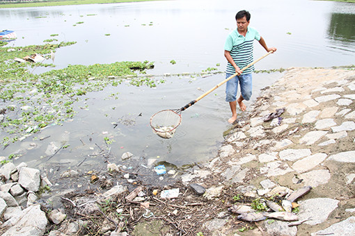 Bình Dương: Cá chết bất thường nổi trắng hồ thủy lợi Từ Vân 1 ảnh 1