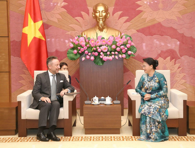 Chủ tịch Quốc hội Nguyễn Thị Kim Ngân tiếp Đại sứ Cộng hòa Séc ảnh 1