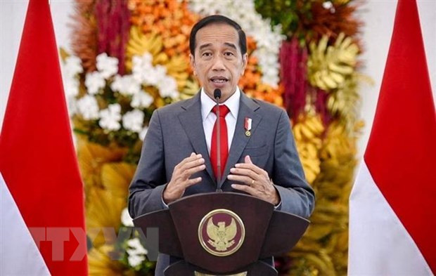 Kỳ vọng của Indonesia trên cương vị chủ tịch ASEAN 2023 ảnh 1