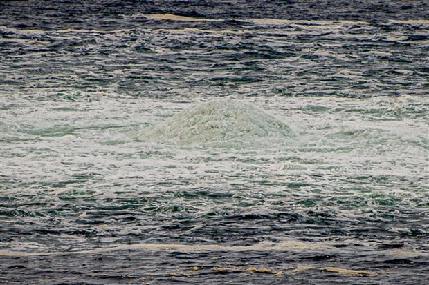 Cập nhật thời điểm nối lại hoạt động đường ống Dòng chảy phương Bắc 1 ảnh 1