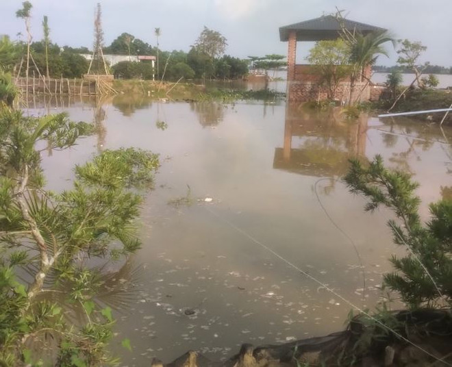 Bến Tre: Khẩn trương khắc phục sạt lở nghiêm trọng ở cồn Phú Đa ảnh 1