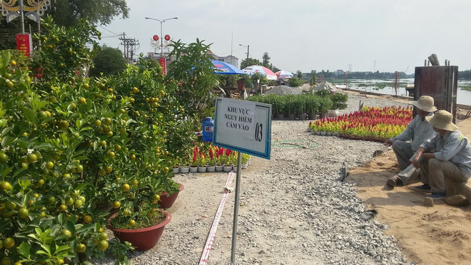 Tổ chức chợ hoa trên công trình đang thi công: Hiểm nguy rình rập ảnh 2