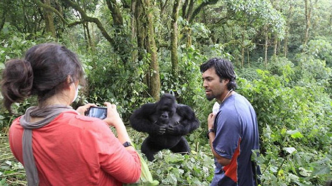 Công viên thú hoang dã Virunga đóng cửa sau các vụ bắt cóc, giết người ảnh 1