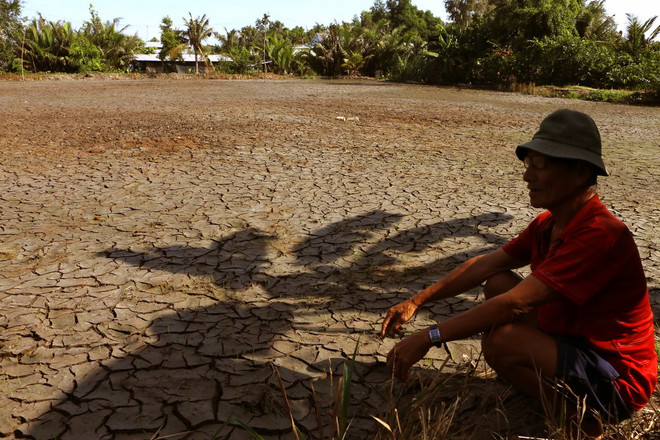 30.000ha đất sản xuất nông nghiệp ở Cà Mau bị xâm nhập mặn ảnh 1