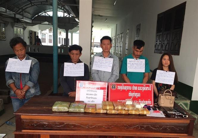 Kon Tum phối hợp với Lào bắt giữ vụ ma túy lớn ở vùng biên ảnh 1