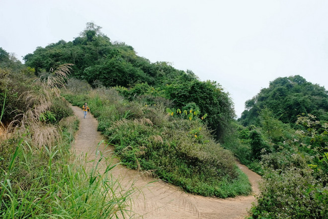 Sắc trắng hoa mơ, hoa mận níu chân du khách khi đến Mộc Châu ảnh 4