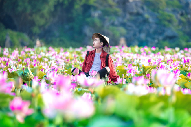 Đầm sen kỳ lạ nở tới tận mùa Đông dưới chân núi Ngọa Long ảnh 2