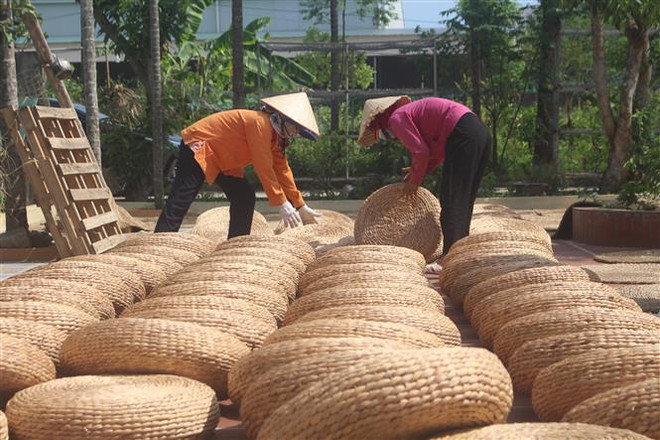 Cói Nga Sơn - thương hiệu được khẳng định trên thị trường ảnh 1