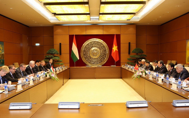 Việt Nam muốn tăng cường quan hệ hợp tác nhiều mặt với Hungary ảnh 1