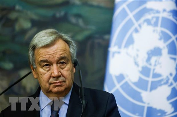 LHQ thúc đẩy phục hồi đồng đều thông qua đầu tư vào việc làm ảnh 1