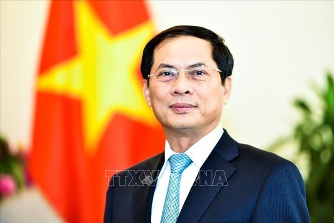 Bộ trưởng Bộ Ngoại giao Bùi Thanh Sơn. (Ảnh: TTXVN) Bộ trưởng Ngoại giao trả lời phỏng vấn về chuyến đi của Chủ tịch nước ảnh 1