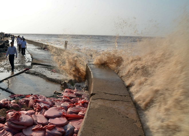 Bạc Liêu khẩn trương khắc phục sự cố sạt lở kè Gành Hào ảnh 1