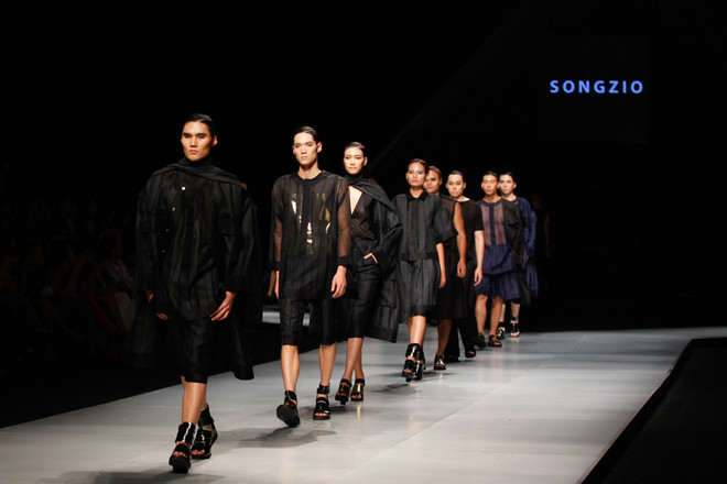 Chính thức khởi động Tuần lễ thời trang quốc tế tại Việt Nam 2015 ảnh 5