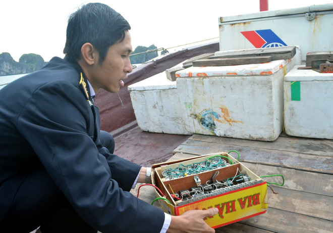 Xử lý 6 tàu vi phạm trong khai thác thủy sản trên Vịnh Hạ Long ảnh 1