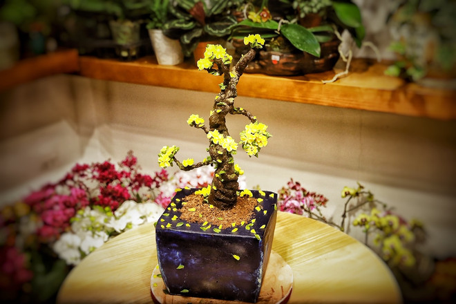 Tết 2019: Những chiếc bánh kem bơ tạo hình cây đào, mai hút khách ảnh 1