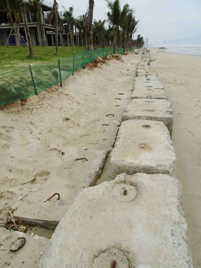 [Photo] Sạt lở bờ biển dài gần 300 mét tại bãi tắm ở Đà Nẵng ảnh 4