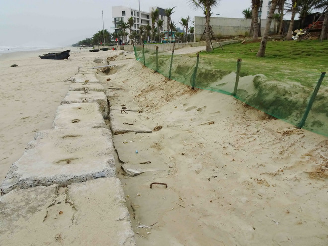 [Photo] Sạt lở bờ biển dài gần 300 mét tại bãi tắm ở Đà Nẵng ảnh 2