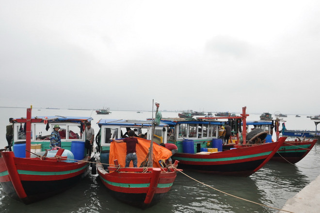 Quảng Ninh: Bắt giữ 5 tàu khai thác thủy sản trái phép tại Trà Cổ ảnh 1