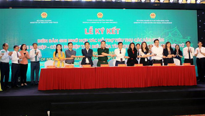 Kết nối cung cầu tiêu thụ sản phẩm nông nghiệp, công nghiệp ảnh 1