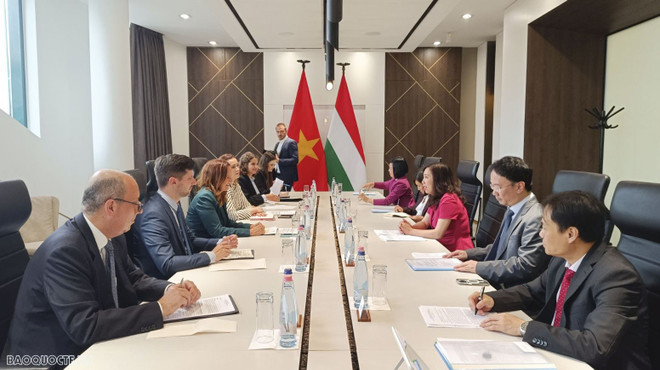 Thúc đẩy quan hệ đối tác toàn diện giữa Việt Nam và Hungary ảnh 1