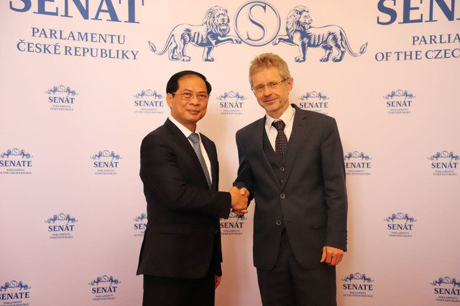 Đẩy mạnh hợp tác trên tất cả các lĩnh vực giữa Việt Nam và Séc ảnh 1