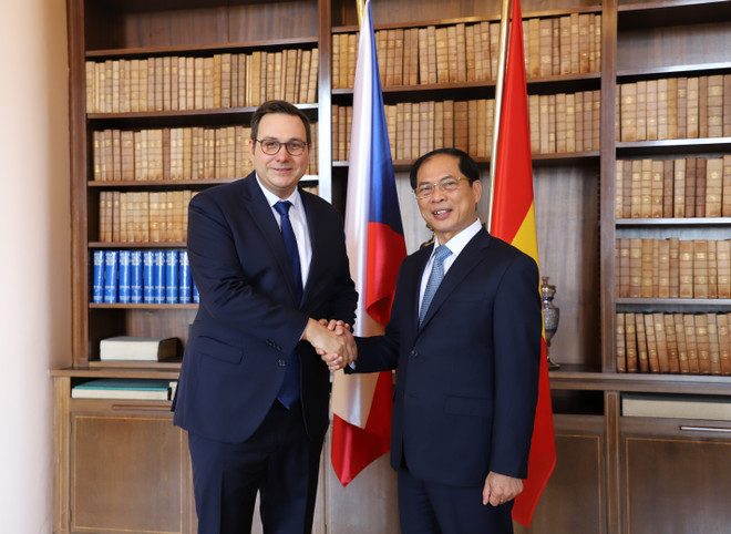 Đẩy mạnh hợp tác trên tất cả các lĩnh vực giữa Việt Nam và Séc ảnh 2