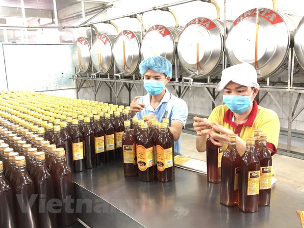 Sản xuất mật ong. (Ảnh: Vietnam+) Việt Nam-Hoa Kỳ hướng tới quan hệ thương mại bình đẳng bền vững ảnh 2