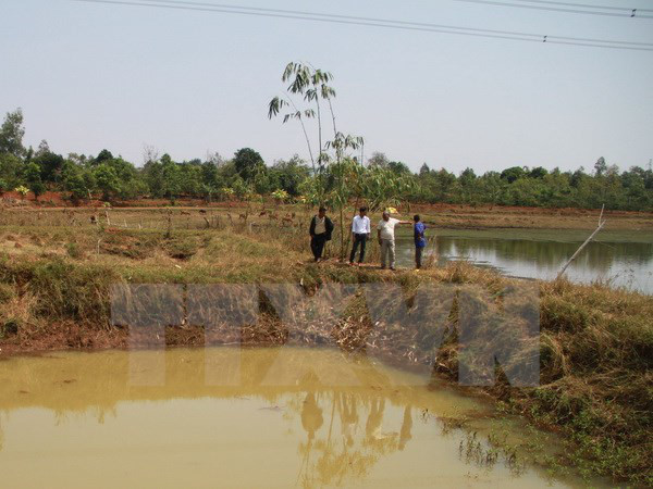 Trượt chân xuống hầm đất bỏ hoang, hai học sinh lớp 7 đuối nước ảnh 1