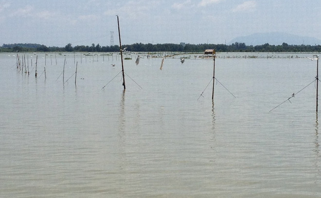 Khởi tố đối tượng đánh cán bộ kiểm lâm làm nhiệm vụ trên hồ Trị An ảnh 1