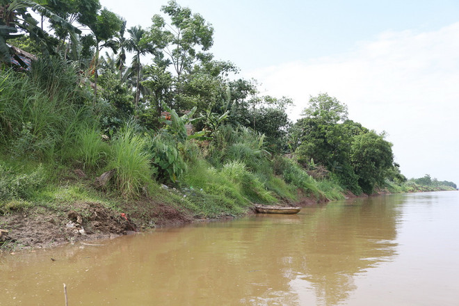 Sạt lở nghiêm trọng bờ sông Thao đe dọa cuộc sống của nhiều hộ dân ảnh 1