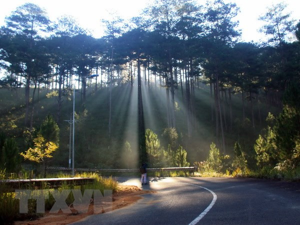 Bắc Bộ có nơi trên 30 độ C, Nam Bộ đề phòng thời tiết nguy hiểm ảnh 1